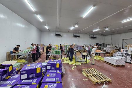 WhatsApp Image 2024-08-04 at 11.18.24