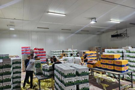 WhatsApp Image 2024-08-04 at 11.18.26